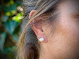 Freshwater Button Pearl Earrings | Medium 8-8.5mm