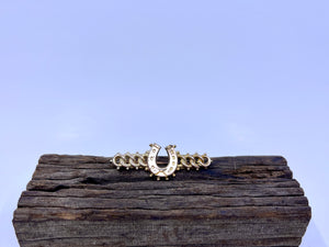 Horseshoe Pin| 9ct Yellow Gold | Preloved