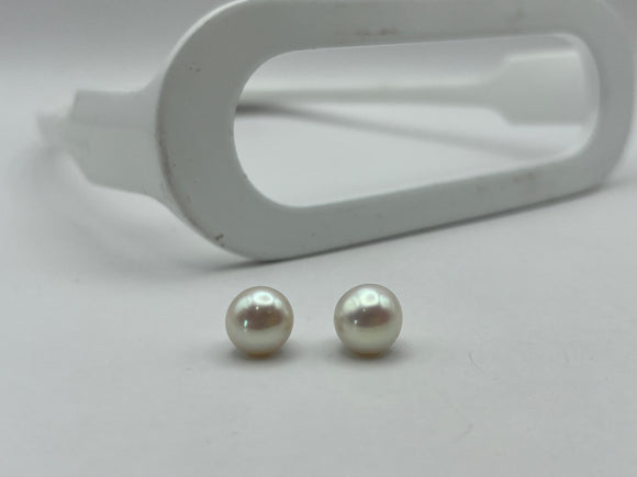 Freshwater Button Pearl Earrings | Large 10mm