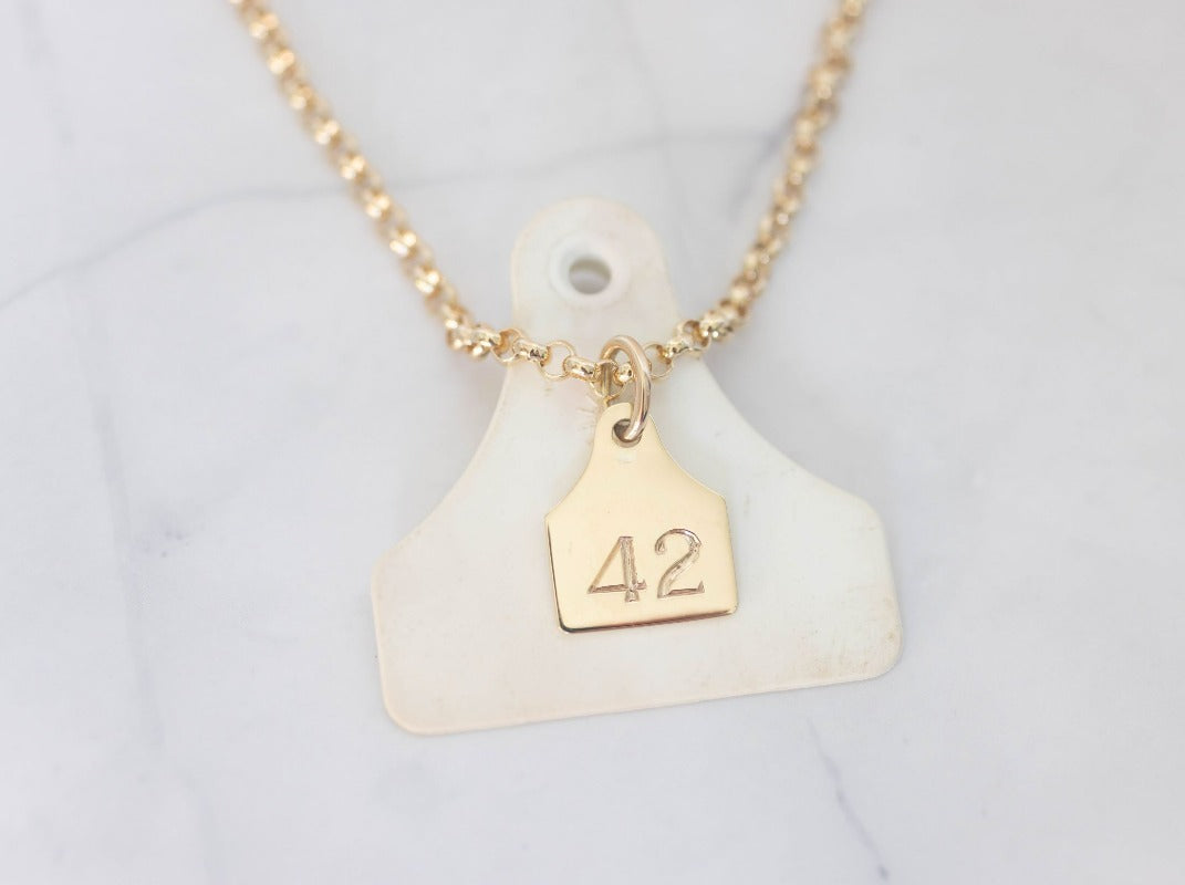 Personalized Cattle Tag Necklace, Sterling Silver 925 Initial Necklaces,  Brand Necklace, Cowgirls Jewelry, Gift for Mom/Girlfriend/Daughter/Friend -  GetNameNecklace
