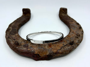 Horsehair Bangle | Light from Chele Clarkin Jewellery