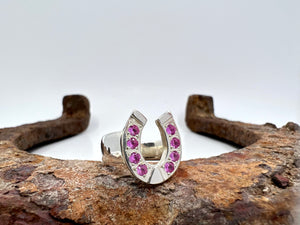 Large Horseshoe Ring with Large Gemstones